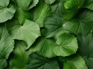 Aufkleber - Layered Green Leaf Texture Eco-Friendly Visual for Sustainable Marketing and Renewable Product Branding in Modern Design Industries
