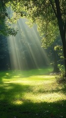 Wall Mural - Sun rays filtering through trees in a serene forest setting during early morning hours