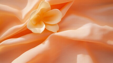 Aufkleber - Soft Aesthetic Elegance Floral Silk Drapery with Gentle Light - Premium Home Decor Content and Sustainable Textile Merchandising