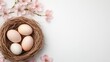 © Have a Good Day - Elegant Easter Nest with Eggs and Blossoming Cherry Flowers for Festive Presentations and Designs 14