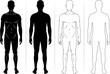 © artpaseka - Human body silhouette, man outline figure or patient front view, vector contour. Male anatomy model of body for medical line icon or health and medicine patient full body