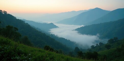 Wall Mural - Early morning mist in the hills of Favela Cantagalo, landscape, mist, peaceful