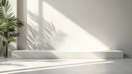 Wall Mural - a plant in a white room with a white bench