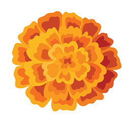 Wall Mural - One yellow orange marigold. Floral decoration for Indian floral festive garland toran. Zendu flower isolated on background. Diwali, Halloween Dia de los Muertos holiday celebration. Vector