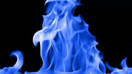 Wall Mural - gas burns with a bright blue flame. beautiful dancing fire, lots of fire. blue fire is burning. brig
