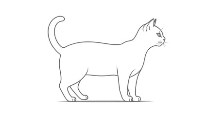 Hand drawn cat outline illustration