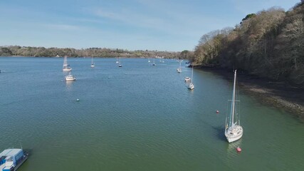 Wall Mural - Dittisham and Greenway Quay and Ferry  from a drone, River Dart, Devon, England