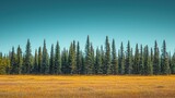 Autumnal forest line, golden meadow, clear sky, boreal landscape, nature print