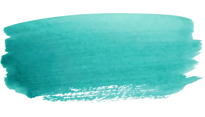 Poster - watercolour green brush stroke textured isolated on white or transparent png