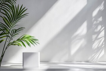Fototapete - Wall interior background, studio and backdrops show products. With shadow from window color white and grey.