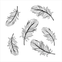 Naklejka na meble feather and plume silhouette vector illustration.