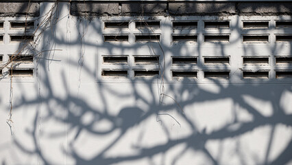 Wall Mural - Shadow of tree branches on a gray wall. Horizontal photo.