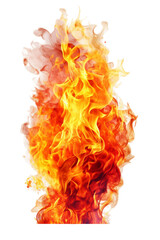 Poster - Orange red fire flames isolated on white background