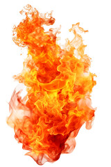 Poster - fire flames isolated on white background