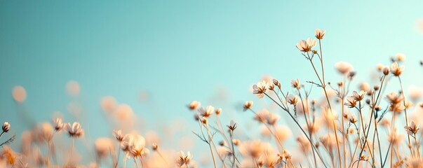 Poster - Pastel spring concept. A serene field of delicate wildflowers swaying under a clear blue sky.