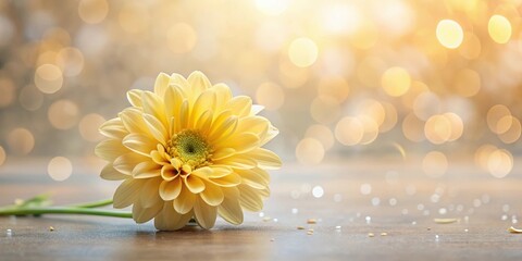 Wall Mural - A single pale yellow flower rests gently on a wooden surface, bathed in soft, warm light and surrounded by a bokeh effect.