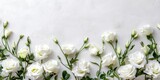 Elegant border of white lisianthus eustoma roses with lush green leaves arranged symmetrically on a light textured background with ample copy space.