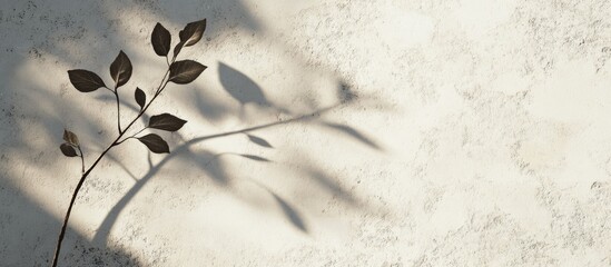 Leinwandbilder - Abstract shadow of a delicate leaf on a soft beige concrete background showcasing natural elegance with green and grey tones positioned left.