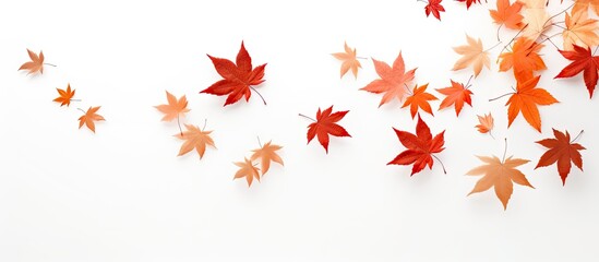 Poster - Autumn maple leaves in shades of red and orange cascading diagonally across a white background creating soft shadows for a serene effect