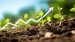 © Zoro - Young plants growing in soil with upward arrow, symbolizing growth and progress.