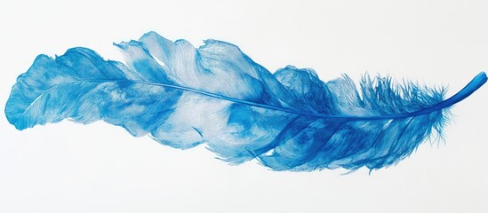 Poster - Vibrant blue feather with intricate details and delicate textures positioned diagonally against a crisp white background ideal for creative projects