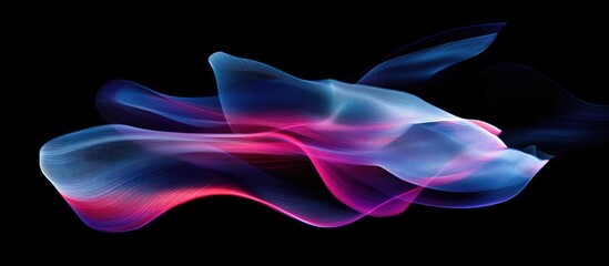 Poster - Vibrant abstract light trails in blue and pink hues flowing dynamically across a black background creating a stunning visual effect.