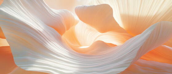 Poster - Harmonious balance of organic forms and smooth curves with empty space at the center