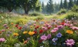 © Withun - colorful flowers blooming in a lush meadow on a sunny summer day, meadow, summer, landscape