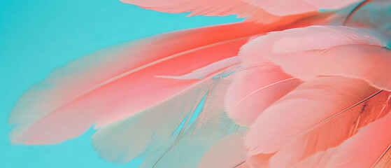 Poster - Vibrant bird feathers showcasing intricate textures in a colorful display