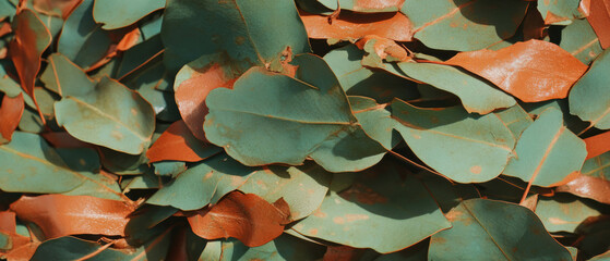 Aufkleber - Exploring the intricate textures and colors of eucalyptus bark and leaves in nature