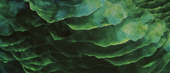 Poster - Exploring the intricate texture and vibrant green hues of fern leaves