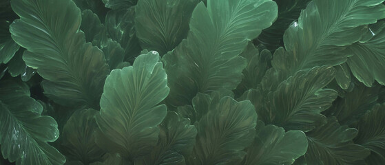 Poster - Lush green fern leaves with intricate textures and carved edges in natural light