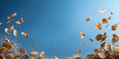 Wall Mural - A blue sky with leaves falling from the trees