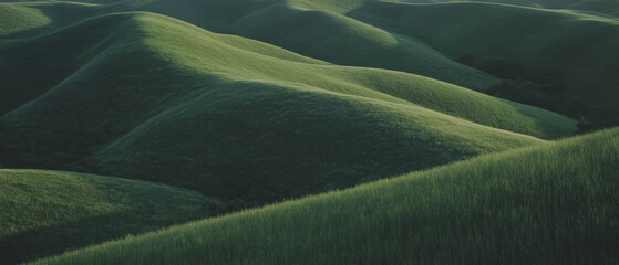 Poster - Rolling green hills showcase vibrant vegetation in a tranquil landscape