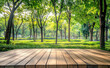 © Victor - Empty wooden table with a lush green park background. Table top product display showcase stage. Image ready for montage your text or product.