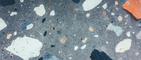 Poster - Textured surface of rough granite with coarse speckles and varied color patterns