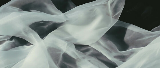 Poster - Exploring the delicate beauty of silk organza with crisp and sheer texture