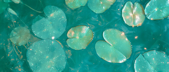 Poster - Exploring the tranquil beauty of smooth water lily pads in vibrant green reflections