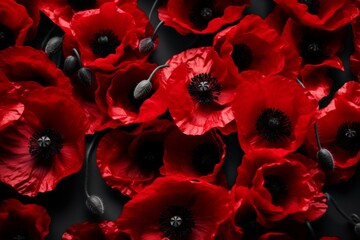 Poster - Red poppy flowers covering a dark background, creating a remembrance day, memorial day or veterans day symbol
