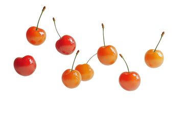 Wall Mural - Cherries floating in the air, isolated background