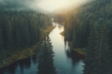 Poster - Mist rises over a tranquil river winding through a lush forest during sunrise in a serene natural landscape