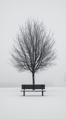 Aufkleber - A solitary park bench sits quietly beneath a leafless tree, surrounded by untouched snow. The stillness of the winter air evokes a sense of peace and solitude in this tranquil setting