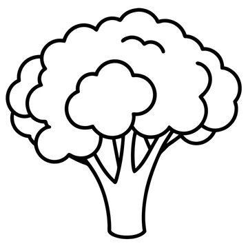 Modern Broccoli Art Illustration