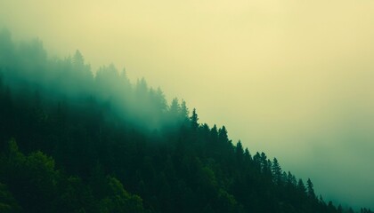 Wall Mural - Misty Mountain Forest Enveloped In Foggy Air