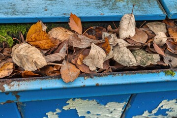 Poster - A blue trash can overflowing with autumn leaves, perfect for fall-themed designs or environmental campaigns