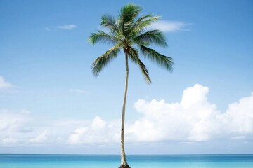 Poster - A single palm tree stands tall on a beautiful sandy beach beside calm blue waters