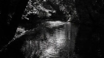 Poster - Serene black and white depiction of a tranquil river surrounded by lush foliage and dappled sunlight reflecting on the water surface