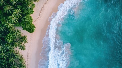 Poster - Aerial View of Serene Tropical Beach with Palm Trees and Crystal Clear Water Waves
