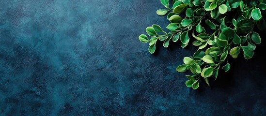 Fototapete - Lush dark green indoor plant leaves arranged in a still life composition on a textured deep blue background with ample empty space for text.