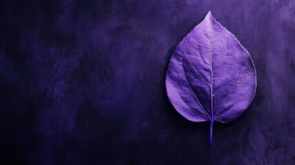 Poster - Vibrant single violet leaf resting on textured dark background showcasing natural beauty and color contrast in minimalistic composition